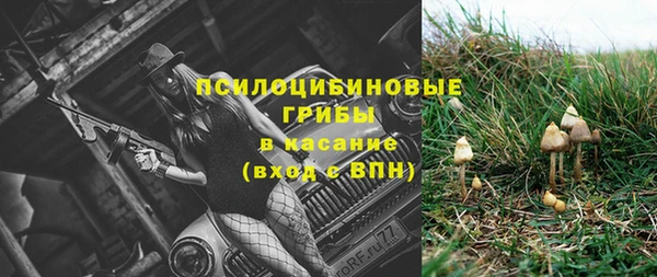 спиды Наволоки