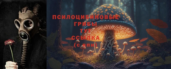 спиды Наволоки