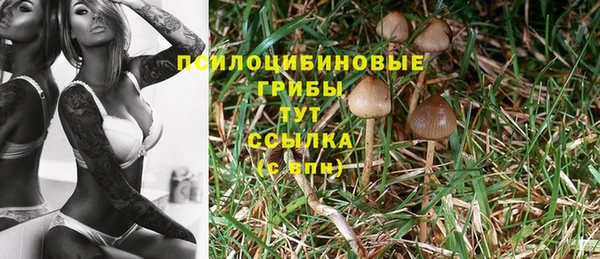 Альфа ПВП Навашино