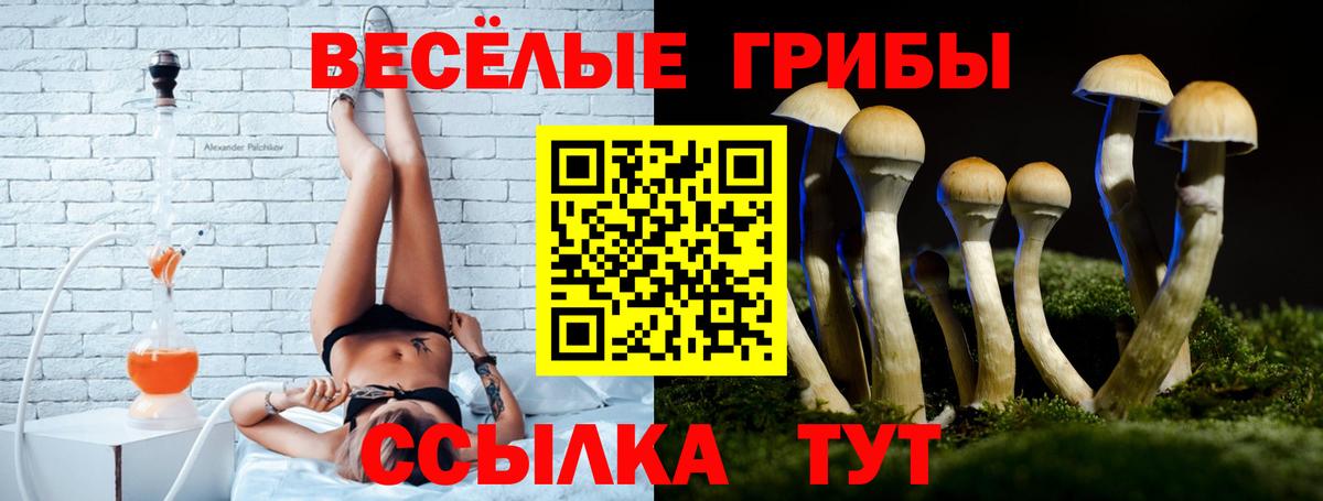 Псилоцибиновые грибы мухоморы  Галлюциногенные грибы ЛСД  продажа наркотиков  Назрань 