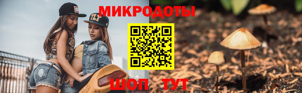 Псилоцибиновые грибы Psilocybine cubensis Назрань