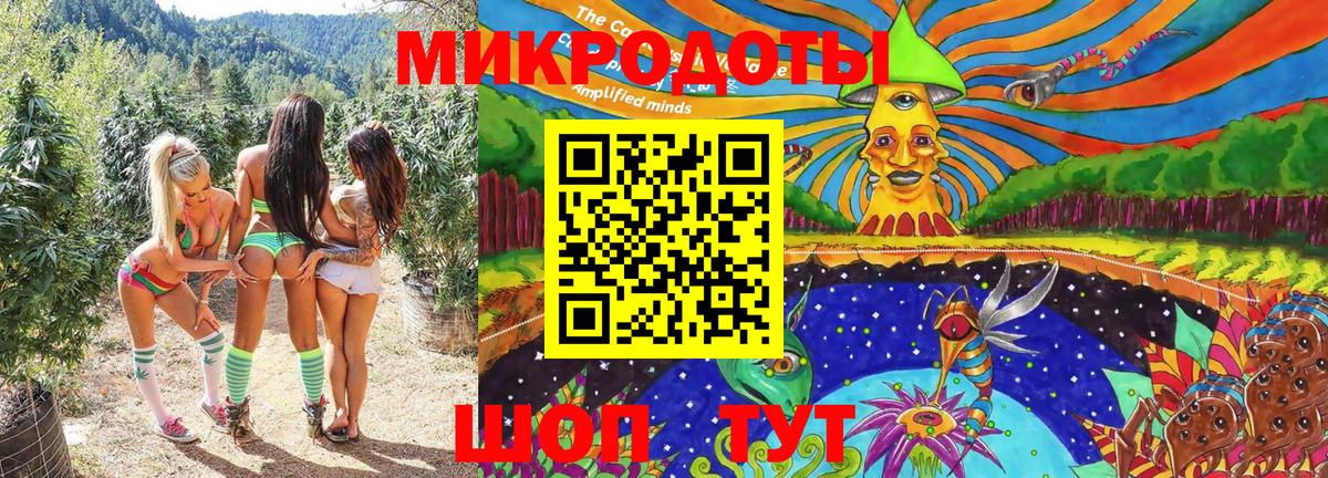что такое наркотик  Псилоцибиновые грибы мицелий  Вход с VPN  Назрань 